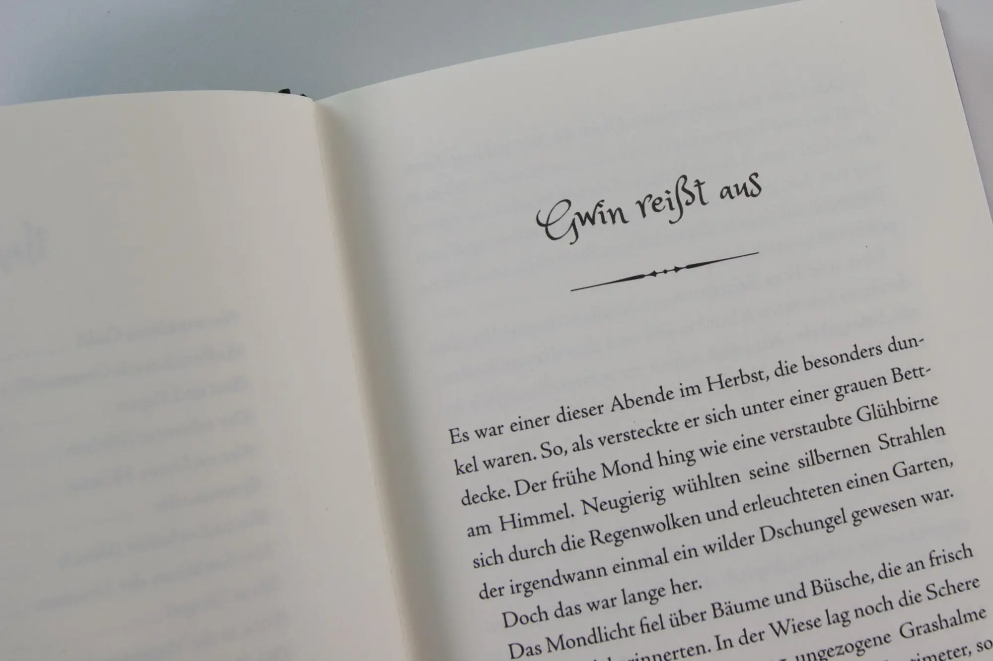 Bild: 9783743219861 | Gwin und das Herz des Drachen (Band 1) | Verena Maier | Buch | Gwin