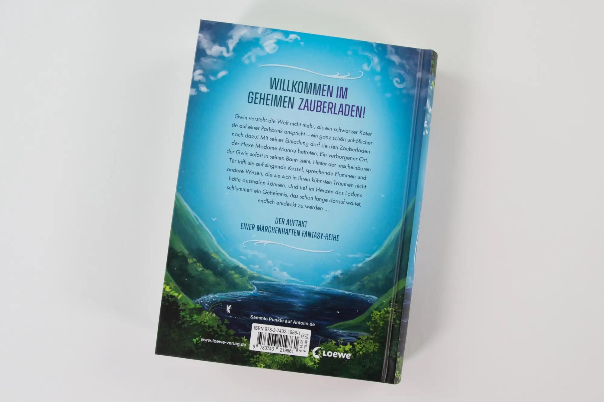 Bild: 9783743219861 | Gwin und das Herz des Drachen (Band 1) | Verena Maier | Buch | Gwin