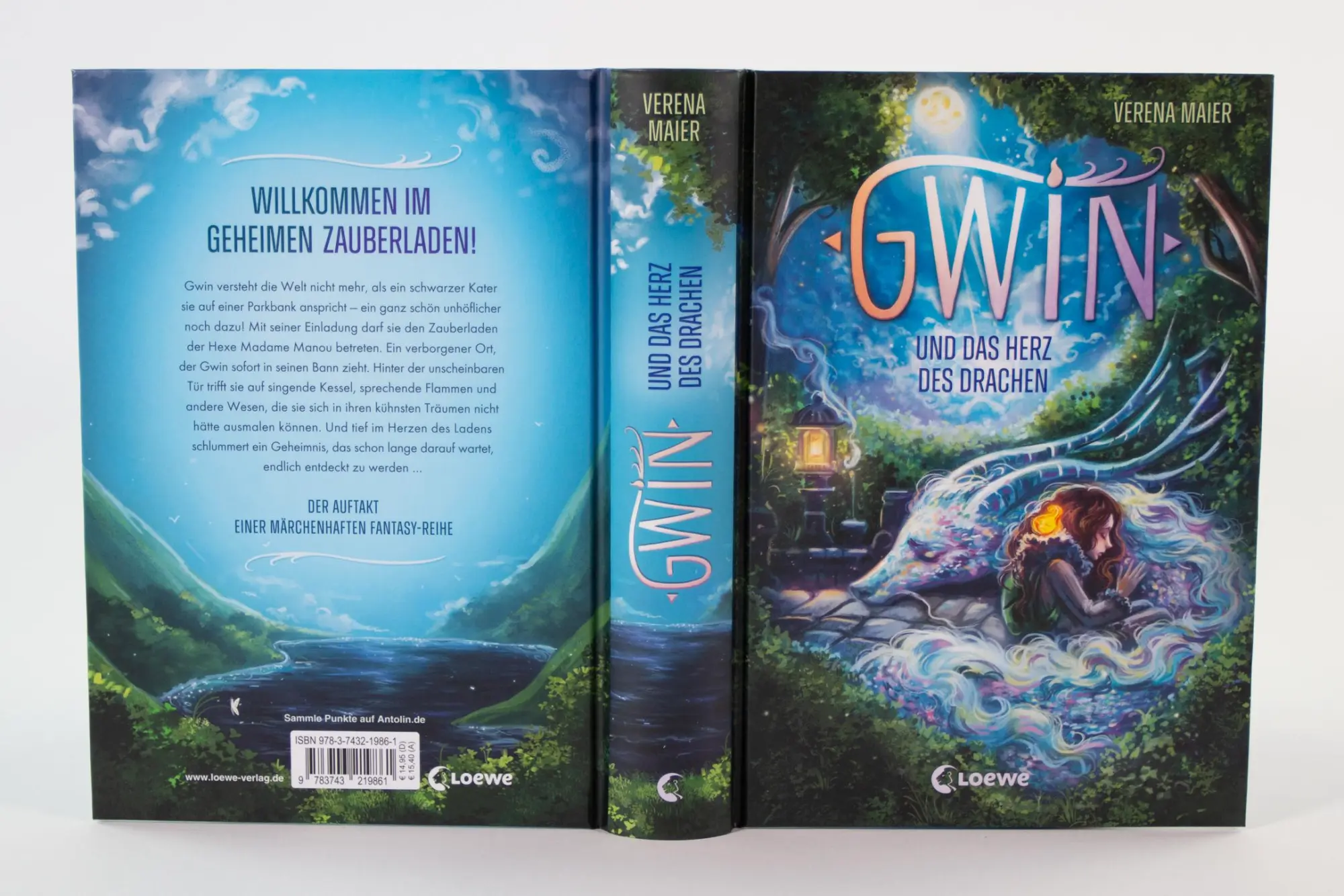 Bild: 9783743219861 | Gwin und das Herz des Drachen (Band 1) | Verena Maier | Buch | Gwin