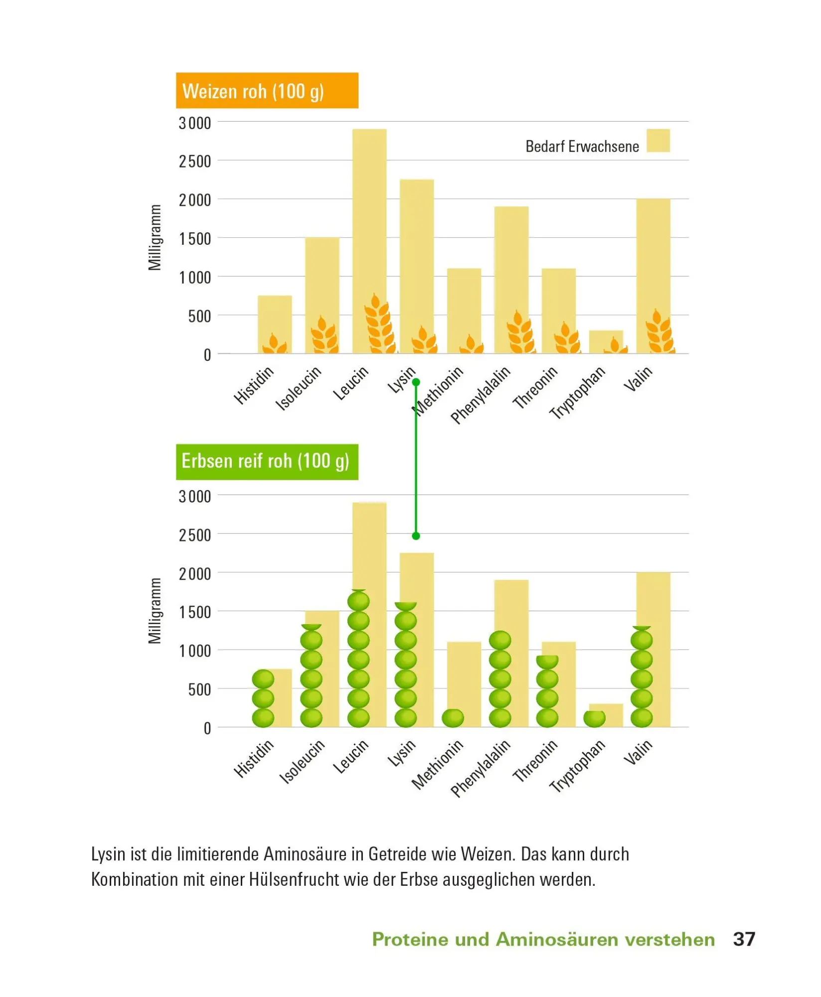Bild: 9783747109861 | Proteine und Aminosäuren | Angela Bechthold | Taschenbuch | 208 S.