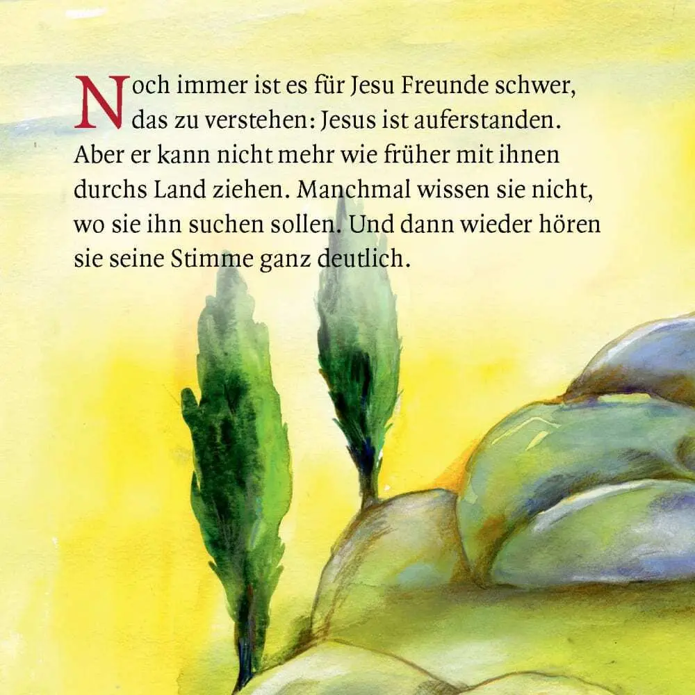 Bild: 9783769819861 | Die Geschichte von Pfingsten | Susanne Brandt (u. a.) | Broschüre