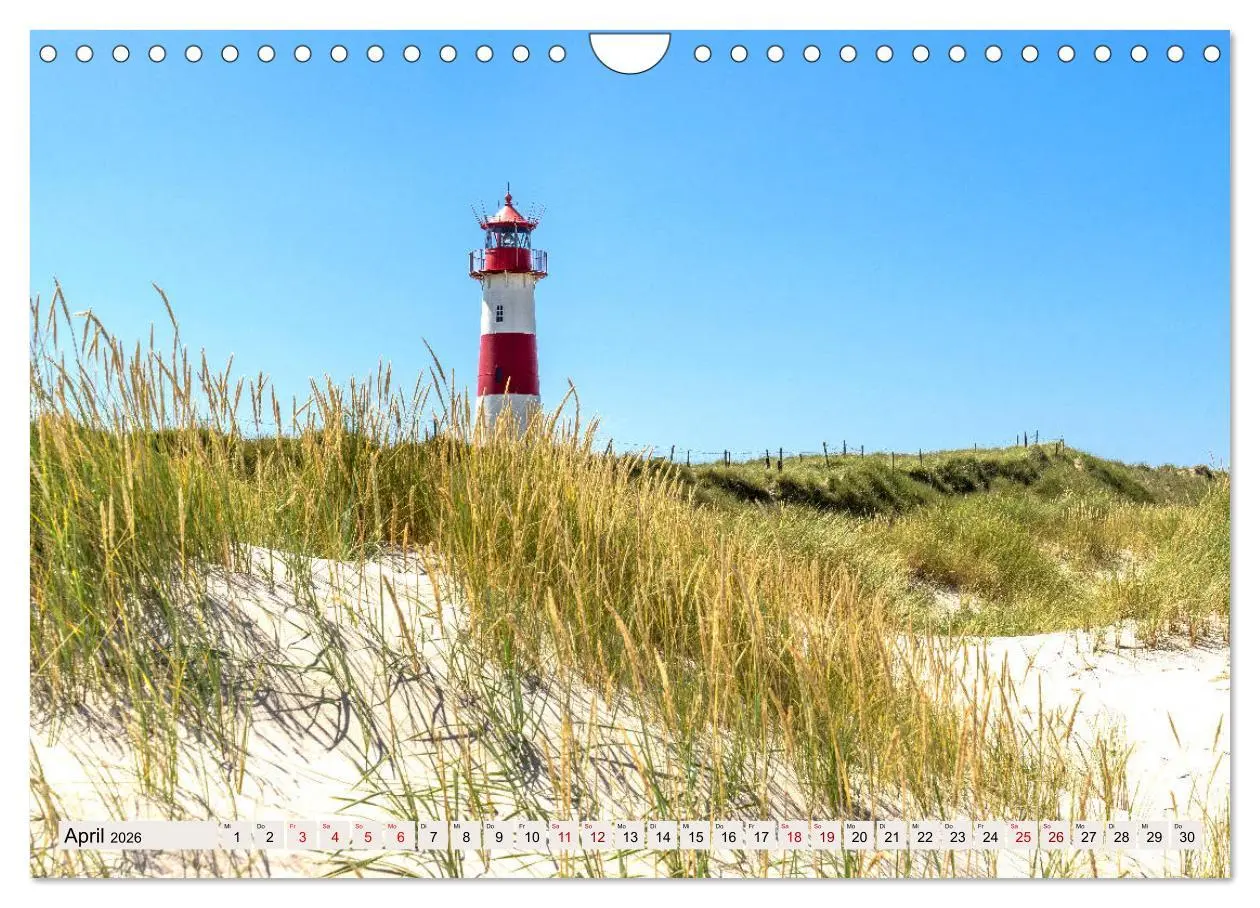 Bild: 9783457900062 | SYLT Dünenwege (Wandkalender 2026 DIN A4 quer), CALVENDO...