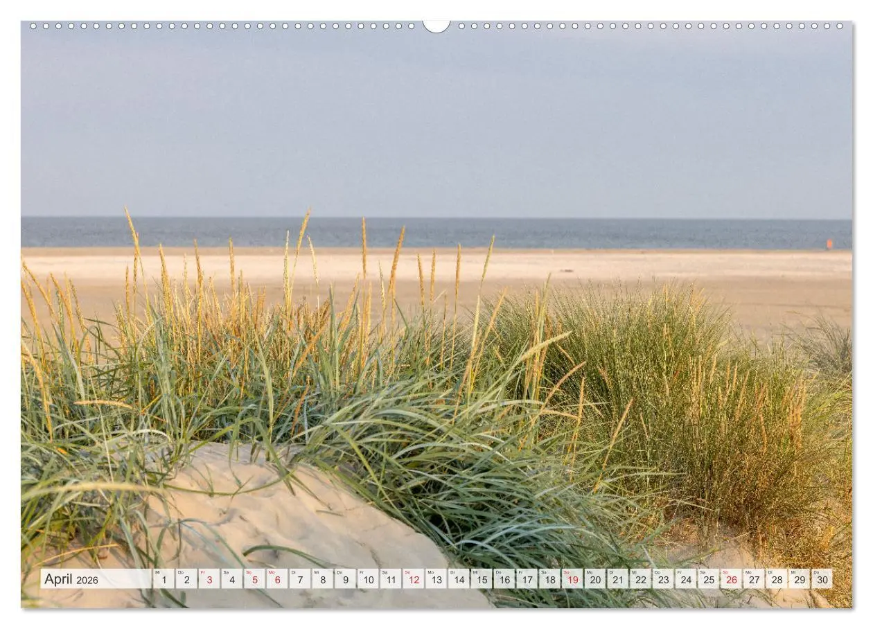 Bild: 9783516160062 | Die Insel Römö (Wandkalender 2026 DIN A2 quer), CALVENDO...