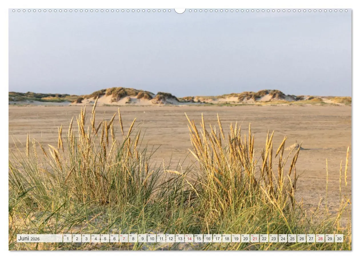 Bild: 9783516160062 | Die Insel Römö (Wandkalender 2026 DIN A2 quer), CALVENDO...