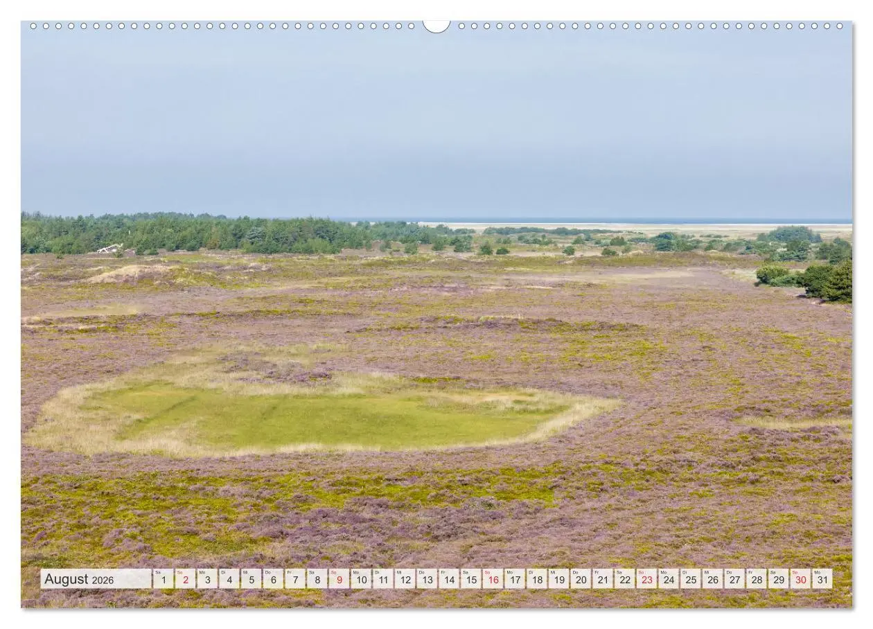 Bild: 9783516160062 | Die Insel Römö (Wandkalender 2026 DIN A2 quer), CALVENDO...