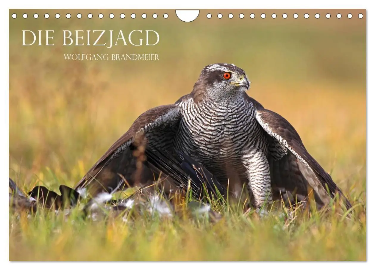 Cover: 9783516230062 | Die Beizjagd (Wandkalender 2026 DIN A4 quer), CALVENDO Monatskalender