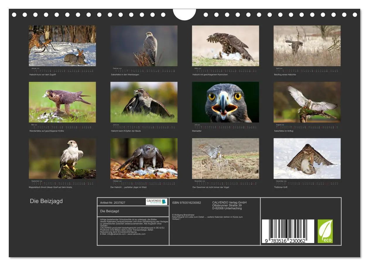 Bild: 9783516230062 | Die Beizjagd (Wandkalender 2026 DIN A4 quer), CALVENDO Monatskalender