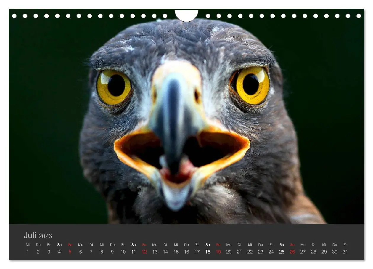 Bild: 9783516230062 | Die Beizjagd (Wandkalender 2026 DIN A4 quer), CALVENDO Monatskalender