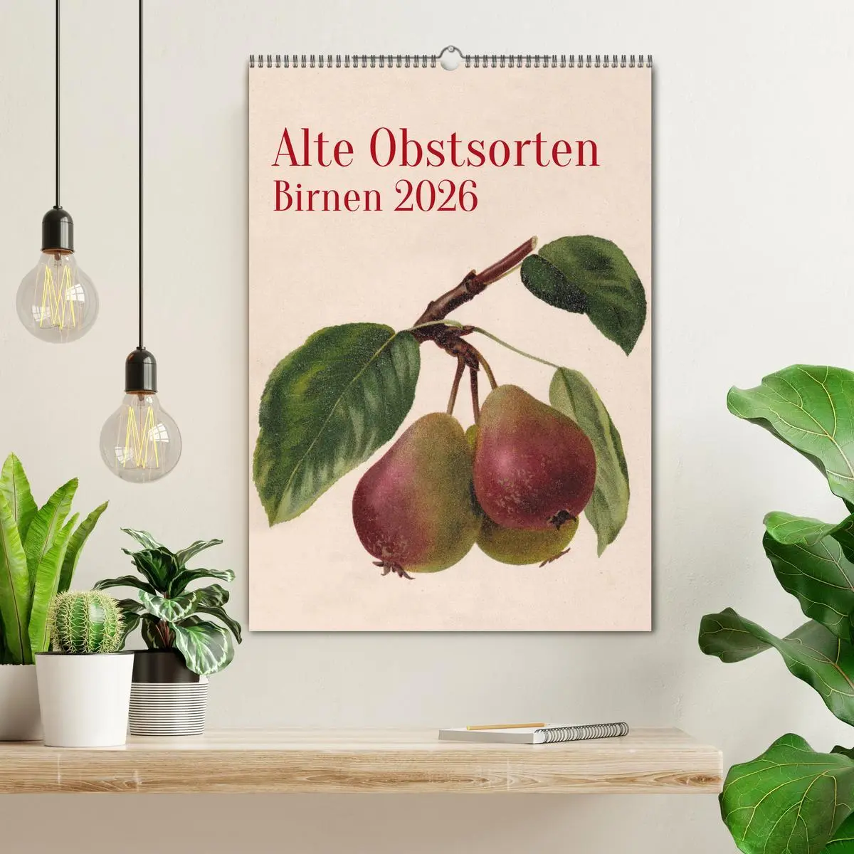Bild: 9783516300062 | Alte Obstsorten - Birnen 2026 (Wandkalender 2026 DIN A2 hoch),...