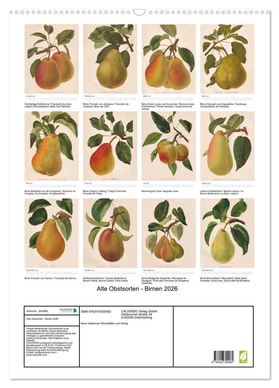 Bild: 9783516300062 | Alte Obstsorten - Birnen 2026 (Wandkalender 2026 DIN A2 hoch),...