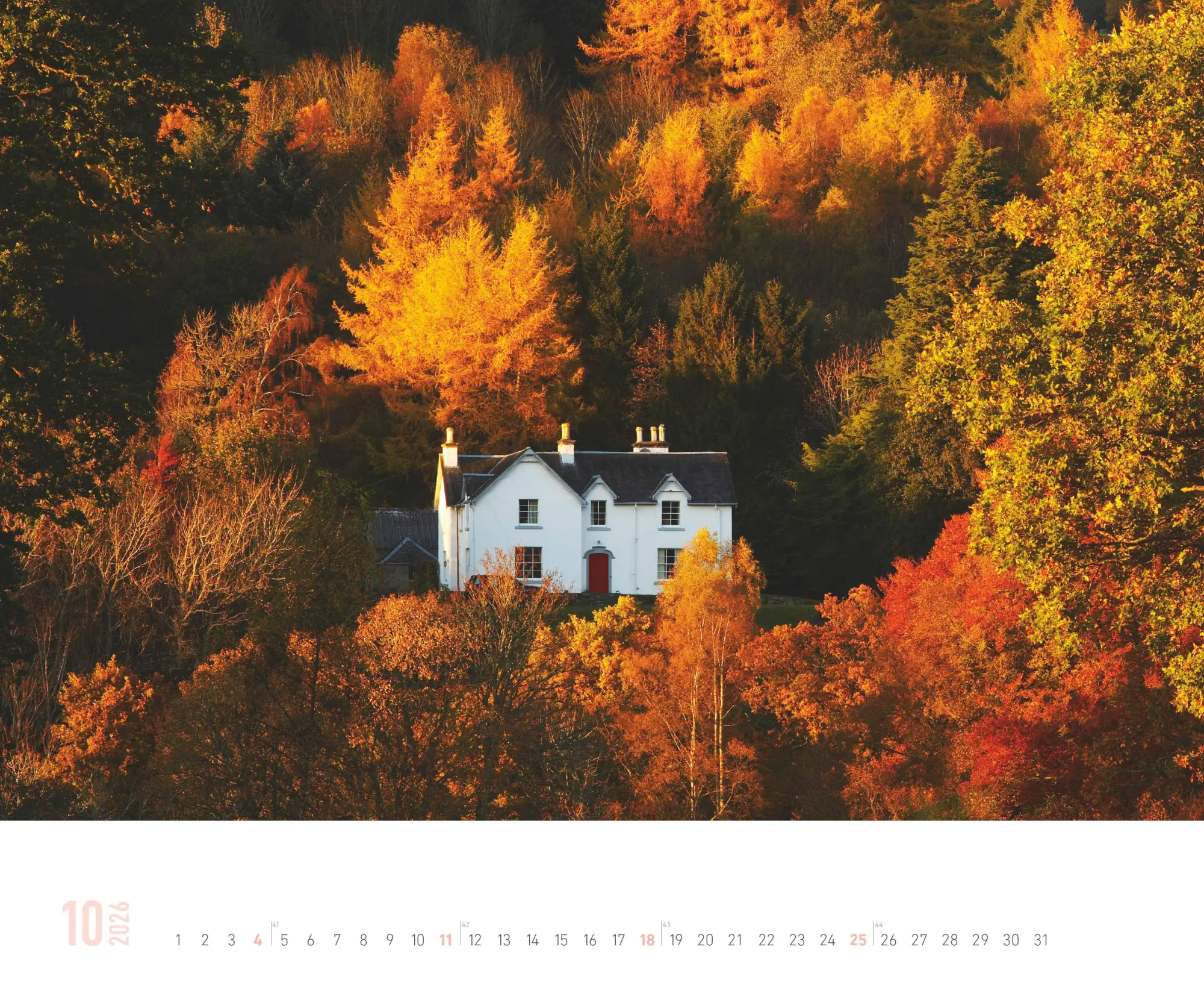 Bild: 4069095000162 | ALPHA EDITION - Schottland 2026 - 52 x 42,5 cm | Kalender | 14 S.