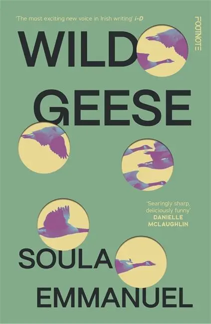 Cover: 9781804440162 | Wild Geese | the LAMBDA and GORDON BOWKER VOLCANO PRIZE winner | Buch