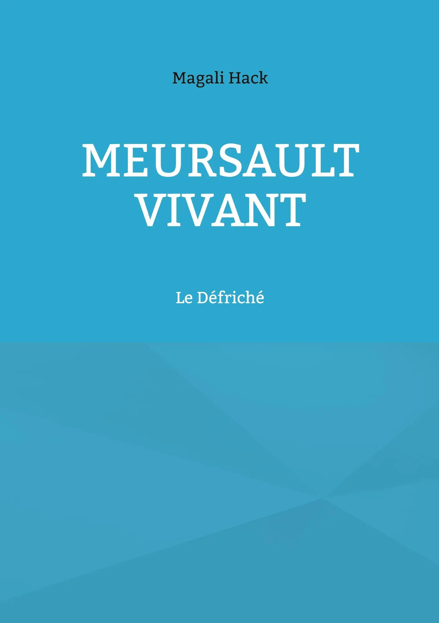 Cover: 9782494550162 | Meursault vivant | Magali Hack | Taschenbuch | Französisch | 2026