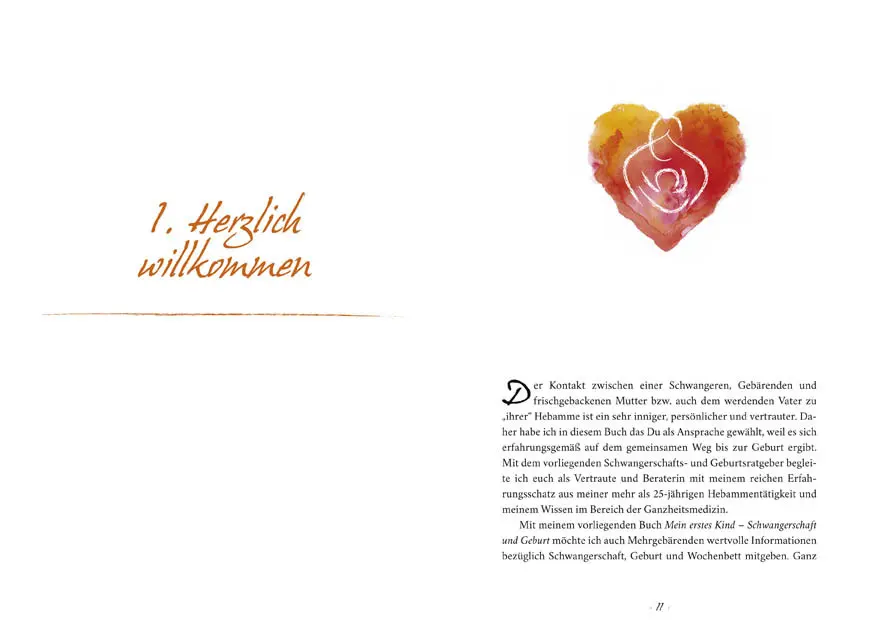 Bild: 9783710400162 | Mein erstes Kind | Schwangerschaft und Geburt | Traude Trieb | Buch