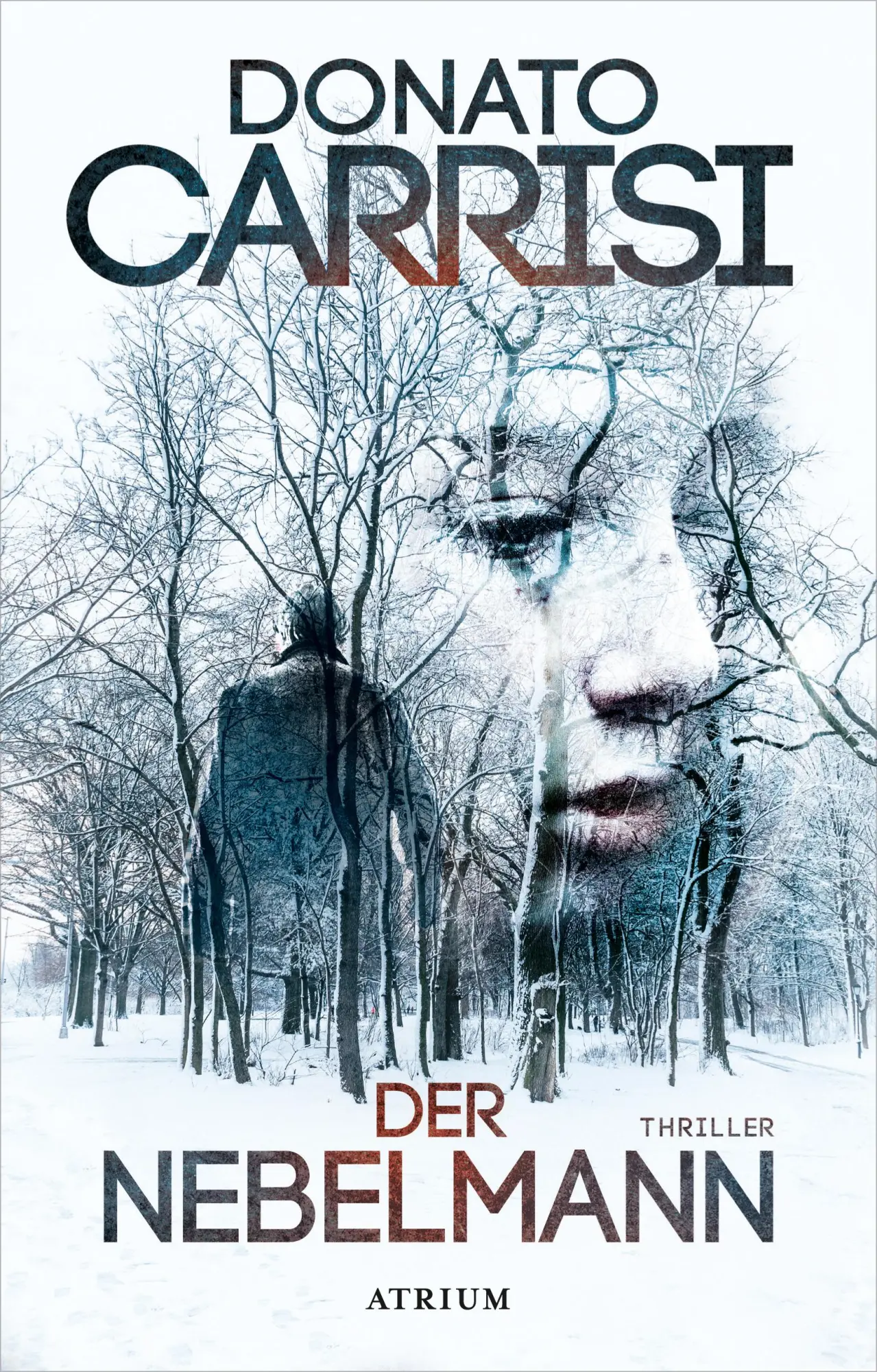 Cover: 9783855350162 | Der Nebelmann | Donato Carrisi | Buch | 336 S. | Deutsch | 2017