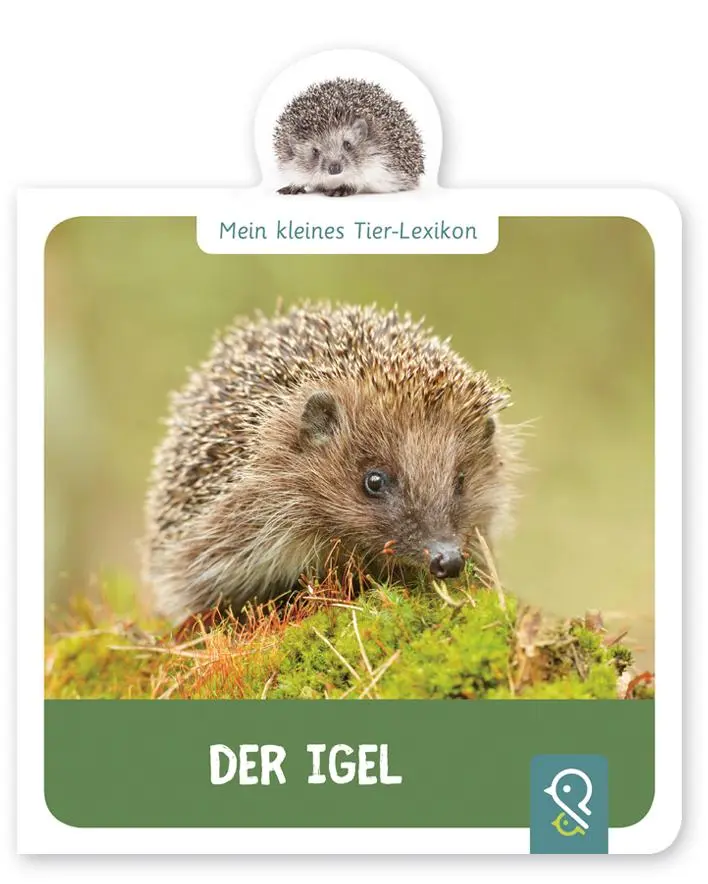 Cover: 9783946360162 | Mein kleines Tier-Lexikon - Der Igel | Hannah Kastenhuber | Buch