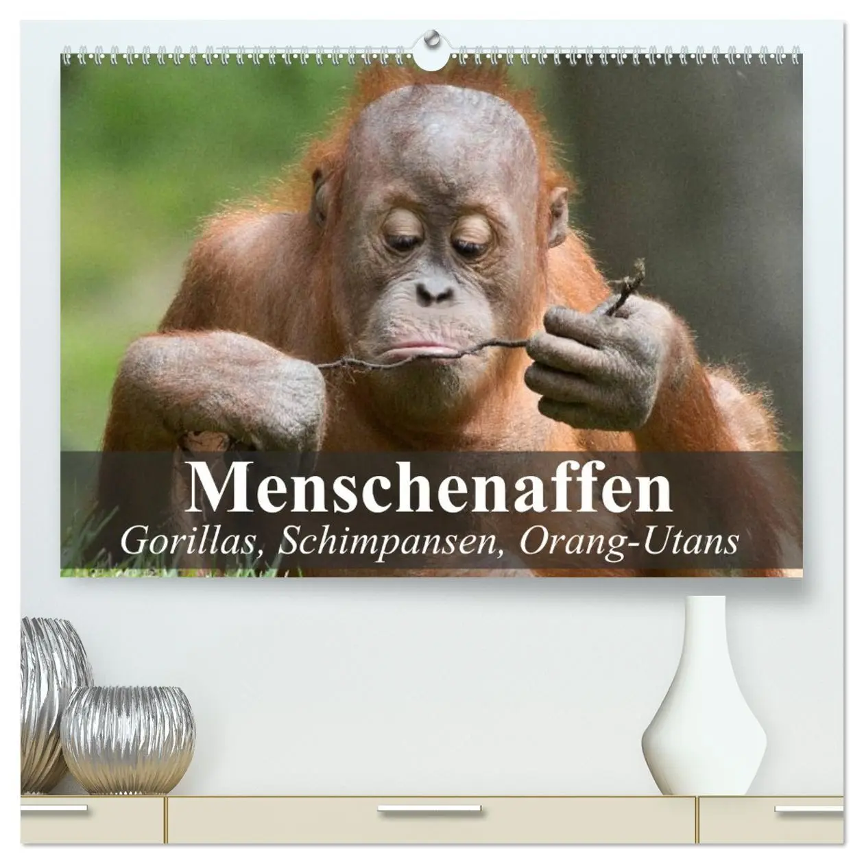 Cover: 9783516070262 | Menschenaffen. Gorillas, Schimpansen, Orang-Utans (hochwertiger...