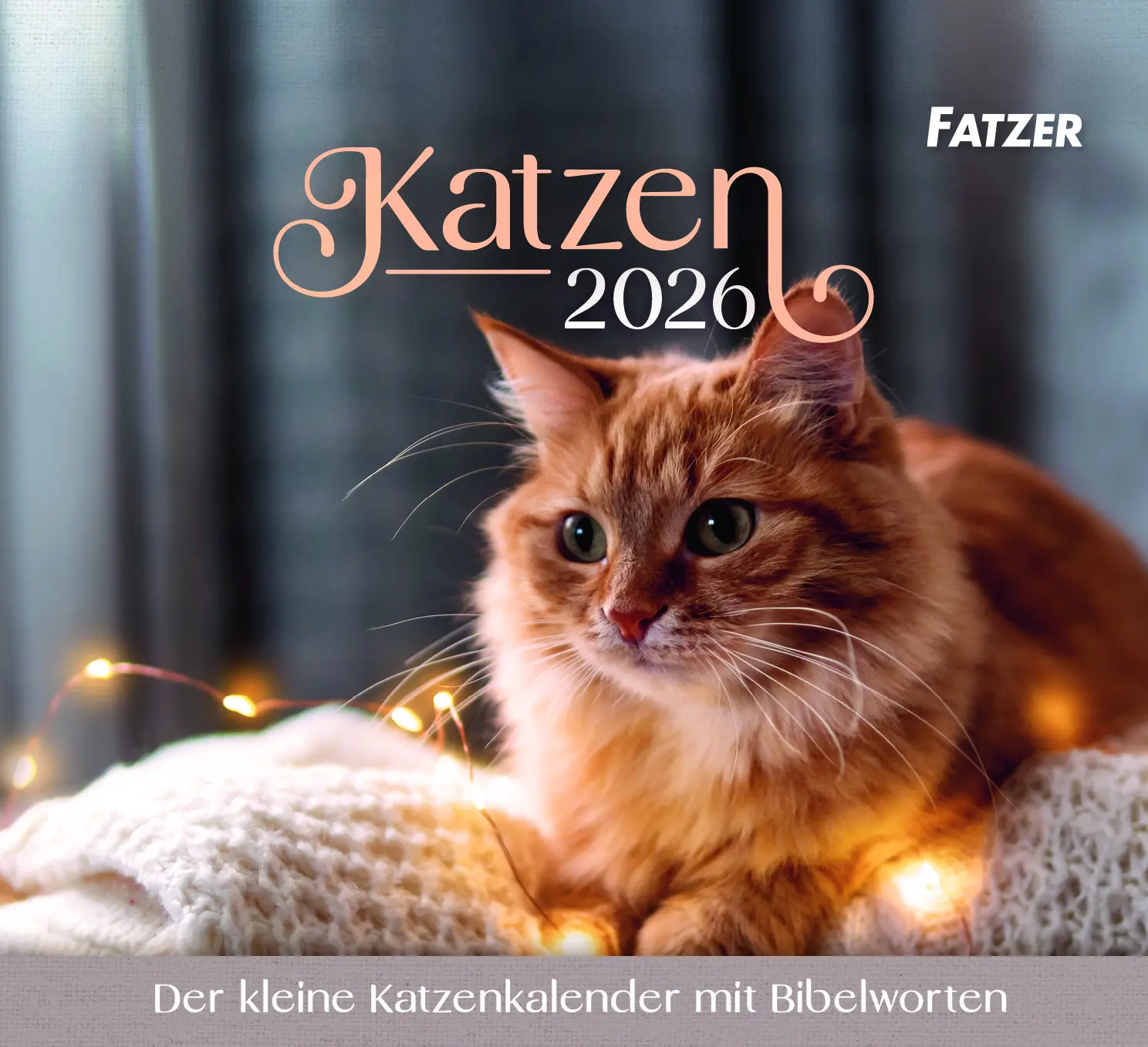 Cover: 9783690220262 | Katzen - Tischkalender 2026 | 13 S., 13 Farbfotos, 13 Illustr. | 2026