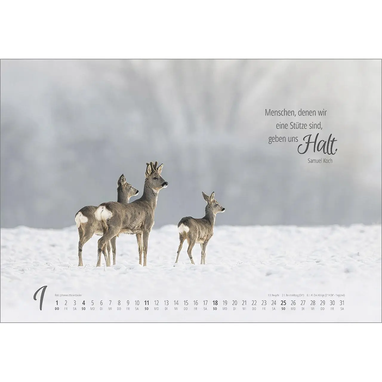 Bild: 9783754810262 | Real Wildlife 2026 | Kalender | 14 S. | Deutsch | 2026