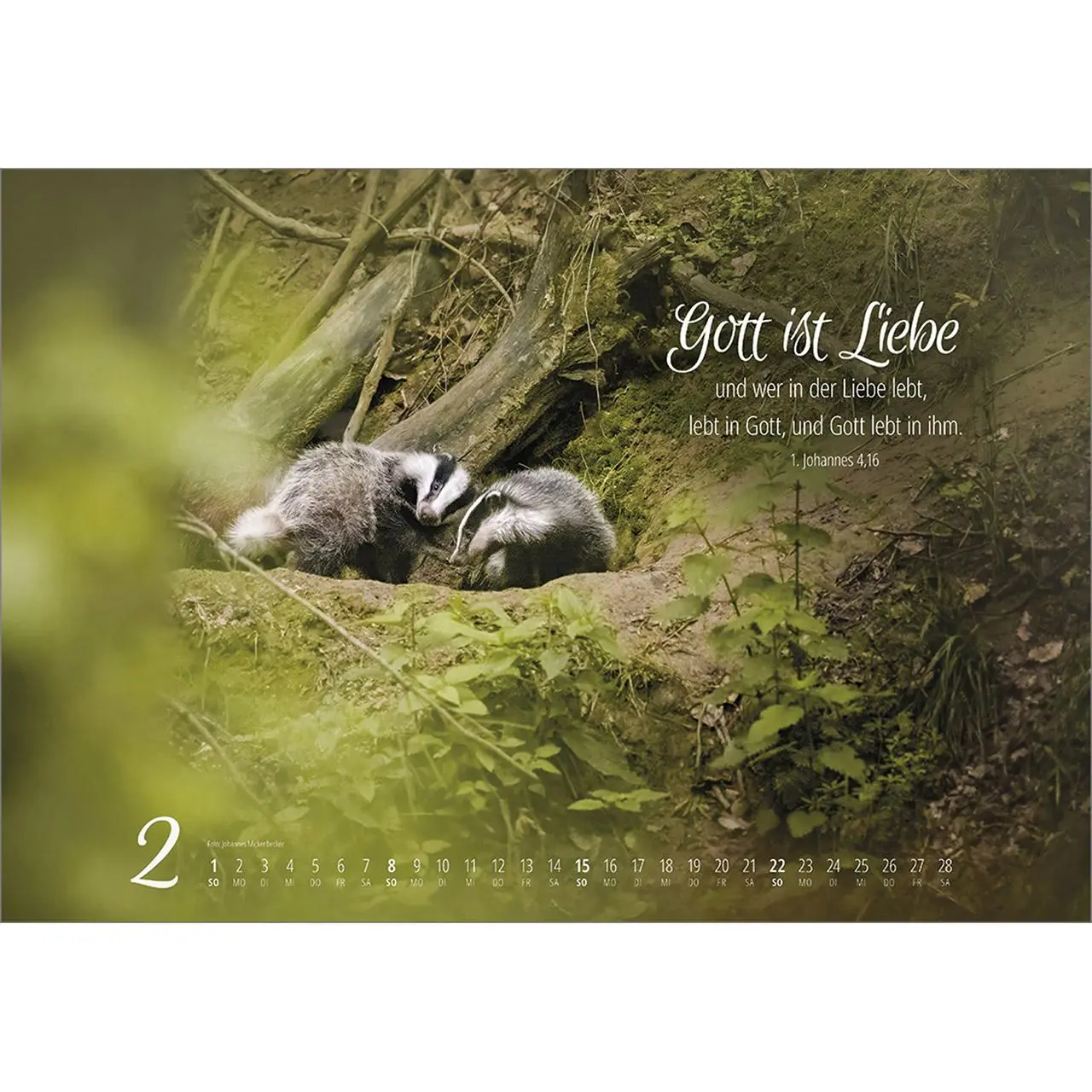 Bild: 9783754810262 | Real Wildlife 2026 | Kalender | 14 S. | Deutsch | 2026