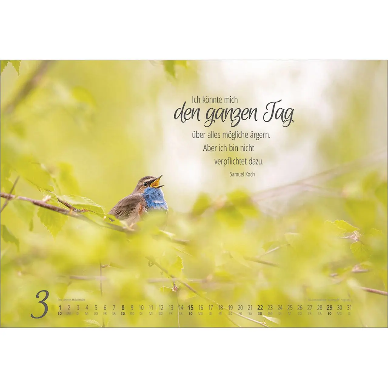 Bild: 9783754810262 | Real Wildlife 2026 | Kalender | 14 S. | Deutsch | 2026