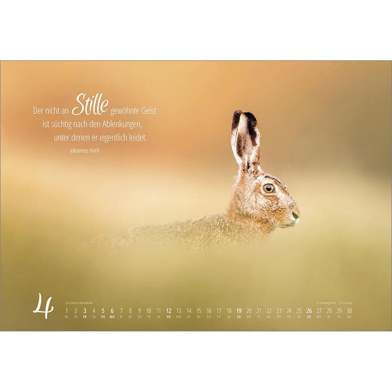 Bild: 9783754810262 | Real Wildlife 2026 | Kalender | 14 S. | Deutsch | 2026