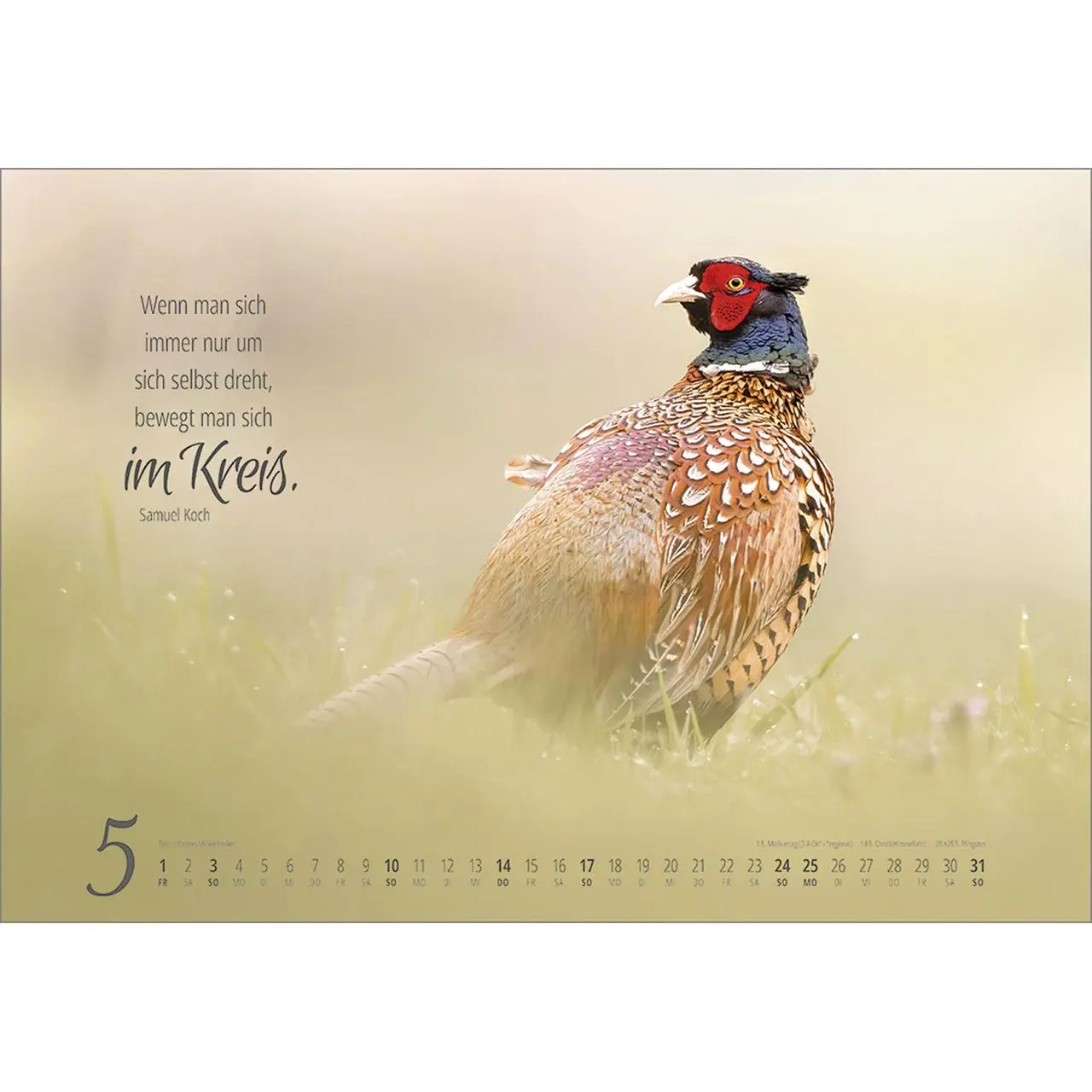 Bild: 9783754810262 | Real Wildlife 2026 | Kalender | 14 S. | Deutsch | 2026