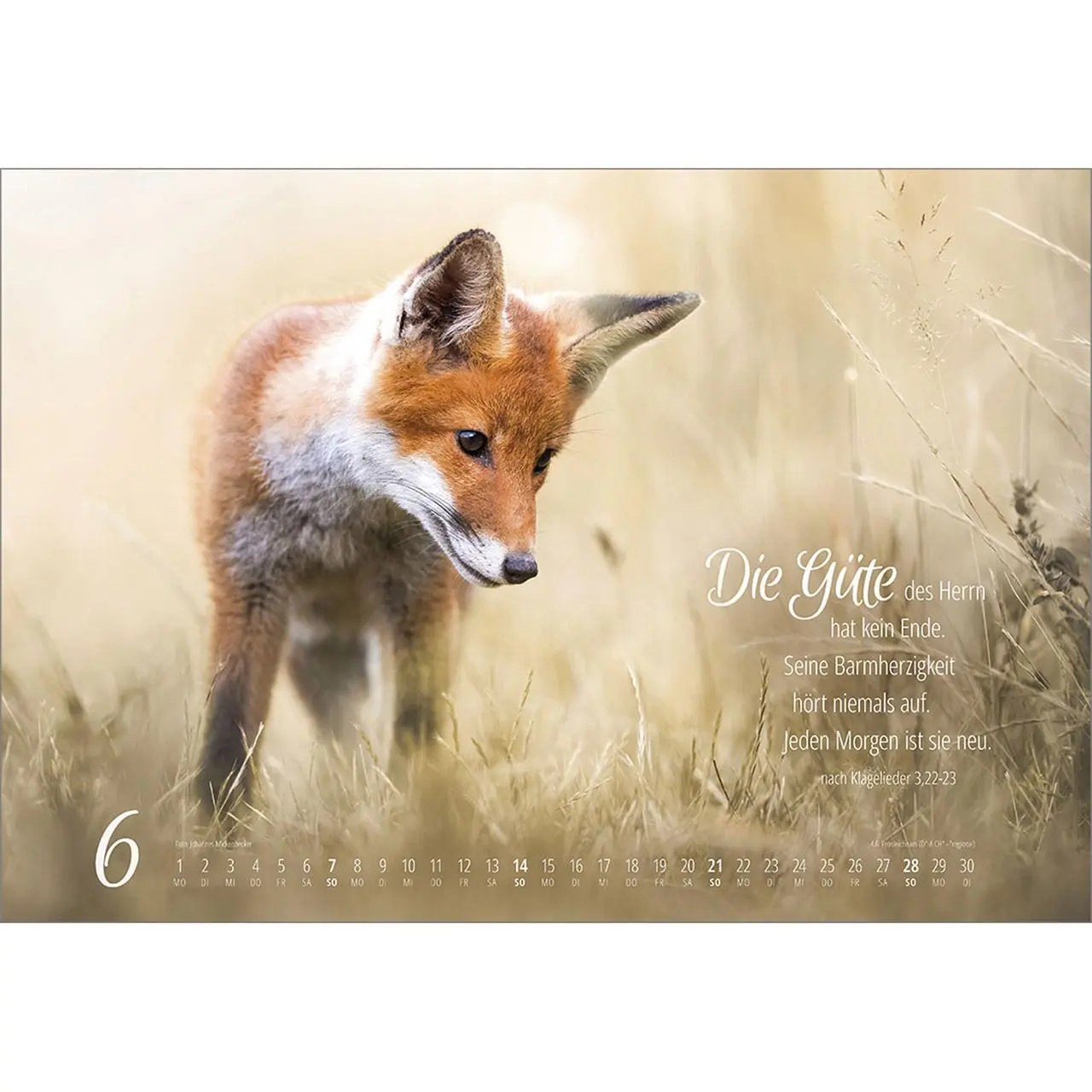 Bild: 9783754810262 | Real Wildlife 2026 | Kalender | 14 S. | Deutsch | 2026