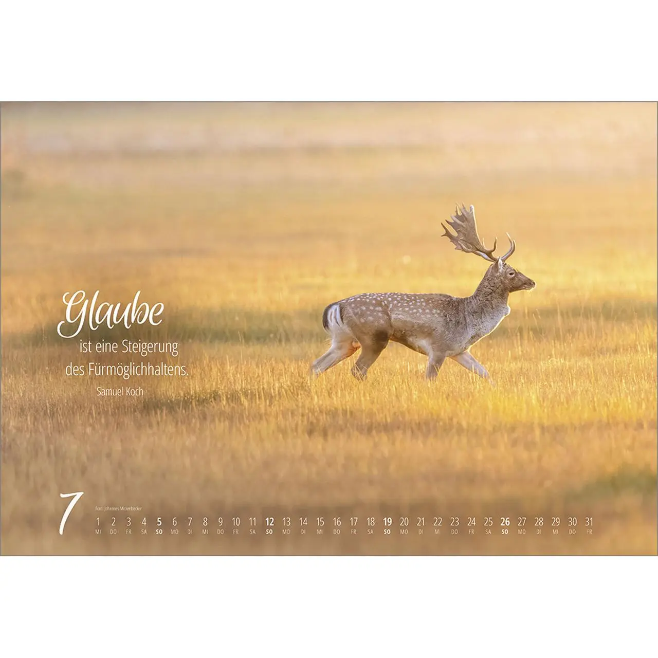 Bild: 9783754810262 | Real Wildlife 2026 | Kalender | 14 S. | Deutsch | 2026