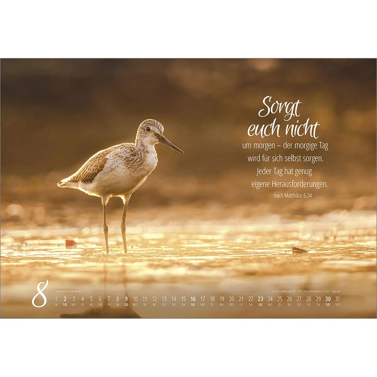 Bild: 9783754810262 | Real Wildlife 2026 | Kalender | 14 S. | Deutsch | 2026