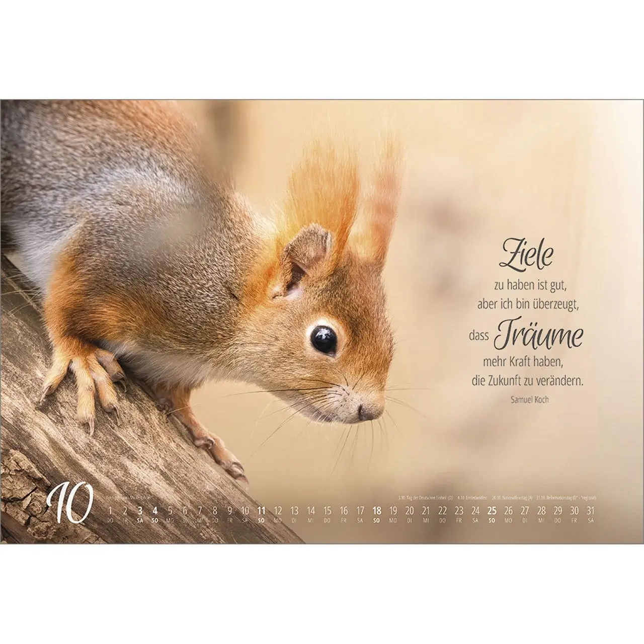 Bild: 9783754810262 | Real Wildlife 2026 | Kalender | 14 S. | Deutsch | 2026