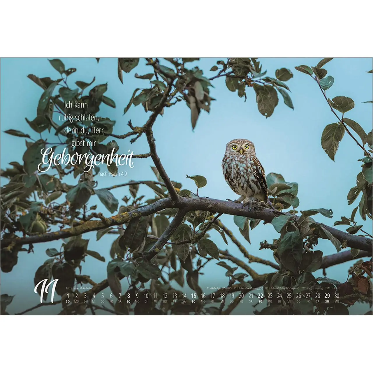 Bild: 9783754810262 | Real Wildlife 2026 | Kalender | 14 S. | Deutsch | 2026