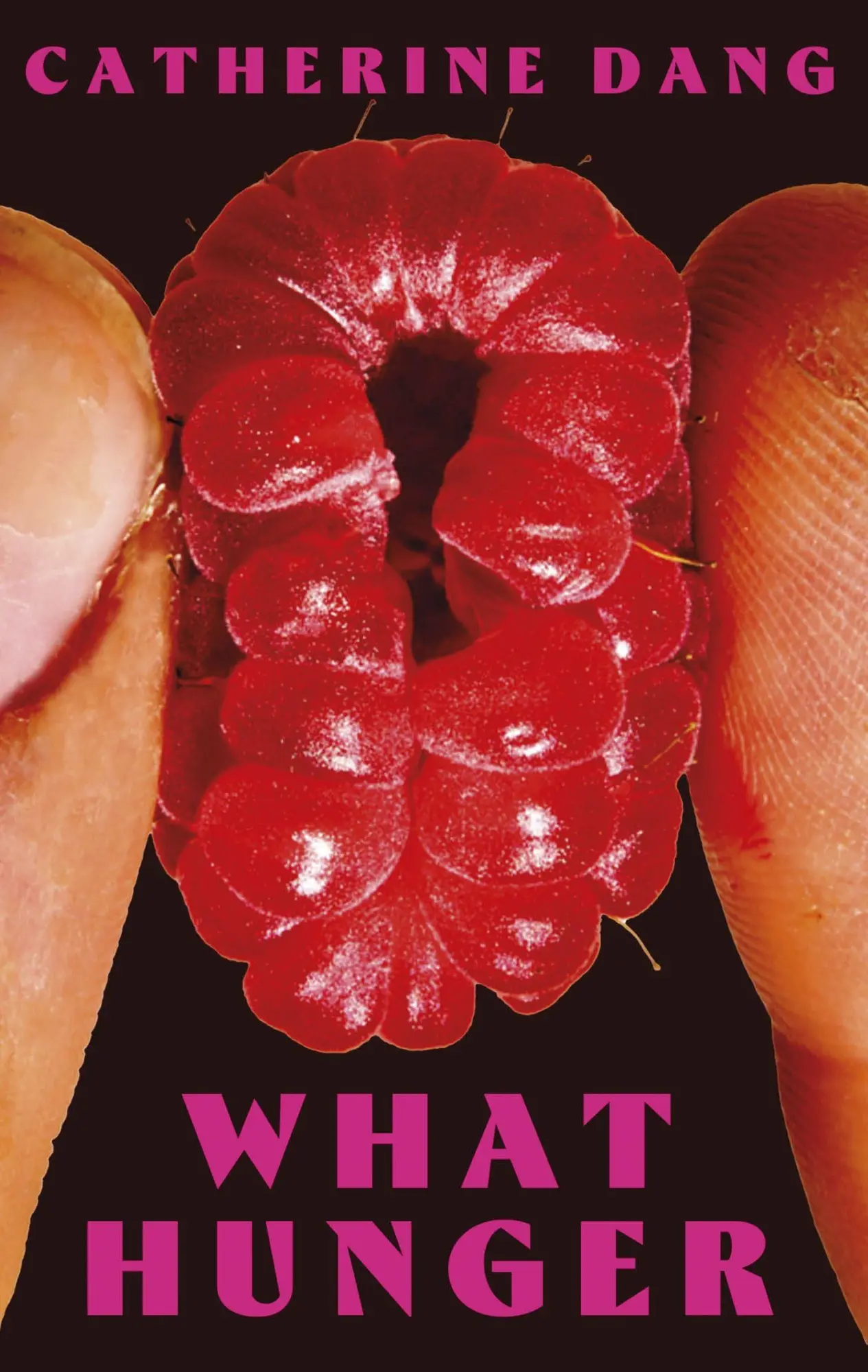 Cover: 9781472160362 | What Hunger | Catherine Dang | Taschenbuch | 288 S. | Englisch | 2025