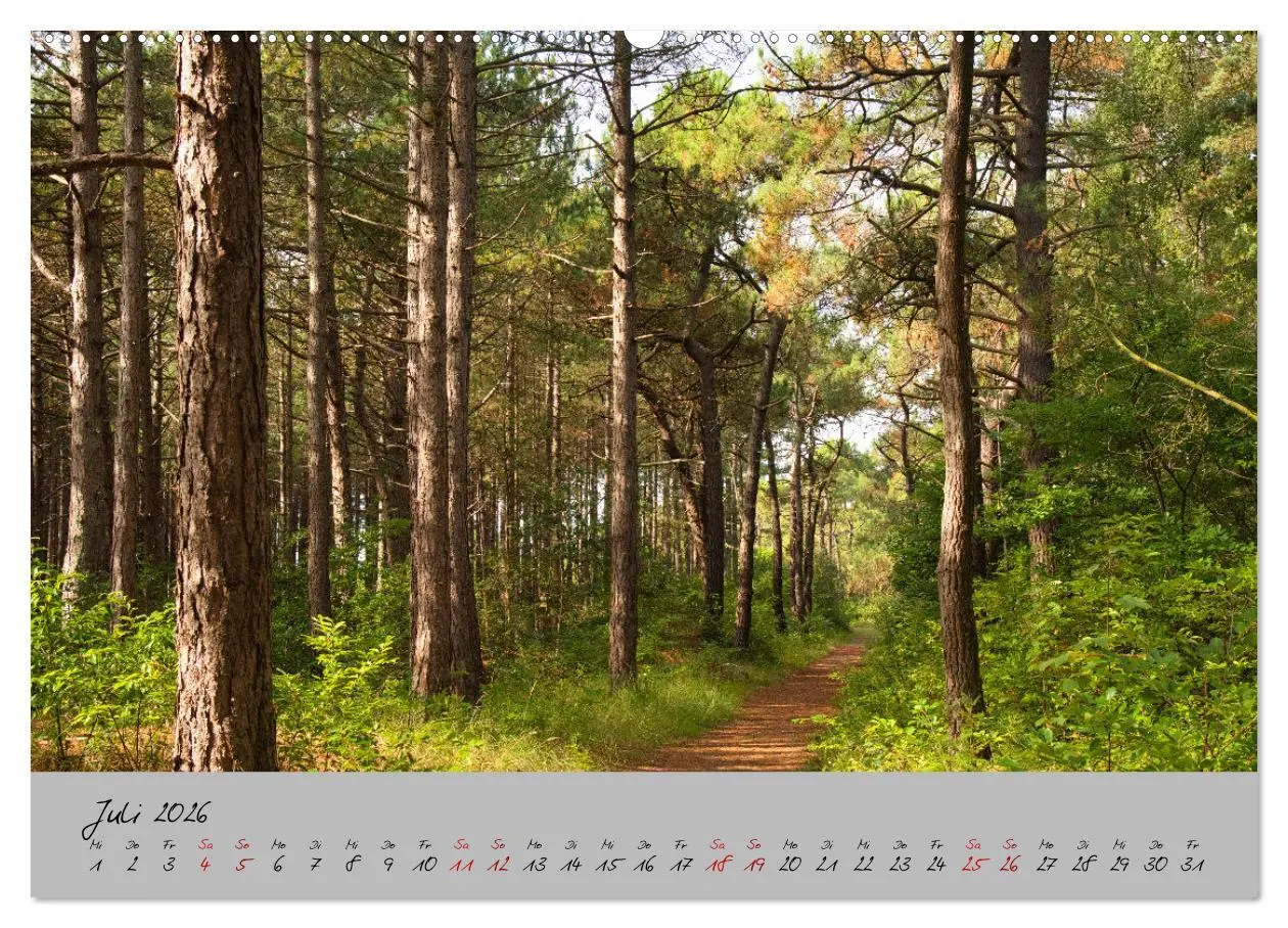 Bild: 9783457420362 | Streifzug durch Nordholland (hochwertiger Premium Wandkalender 2026...