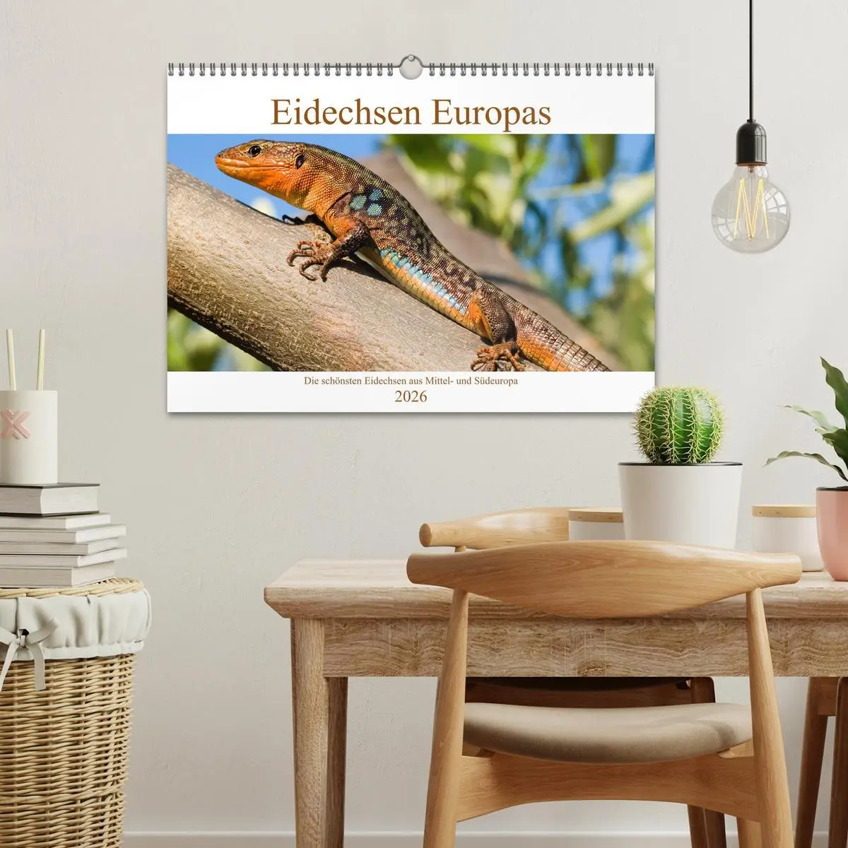 Bild: 9783457660362 | Eidechsen Europas (Wandkalender 2026 DIN A3 quer), CALVENDO...
