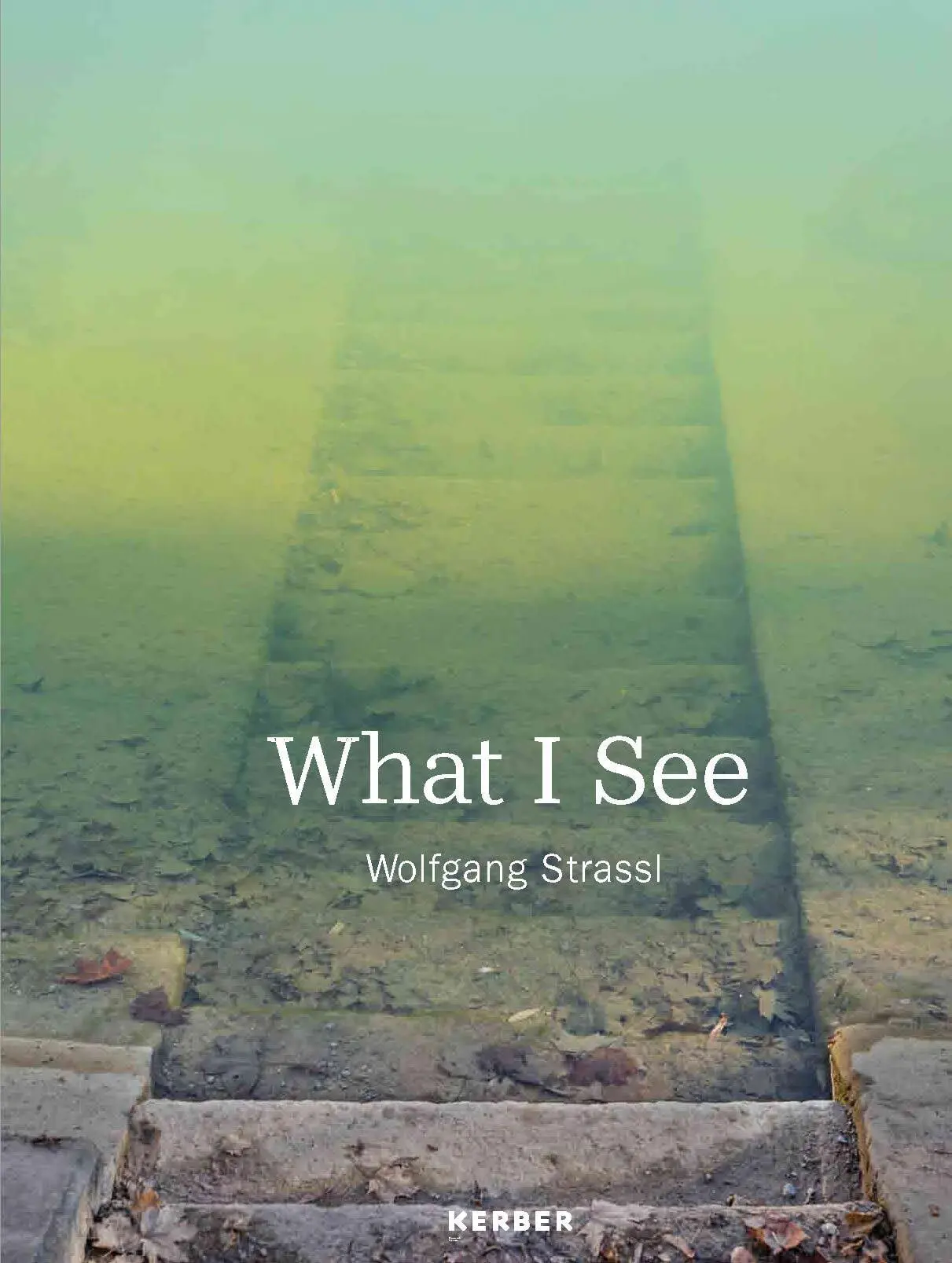 Cover: 9783735610362 | Wolfgang Strassl | What I See | Wolfgang/Schuman, Aaron Strassl | Buch