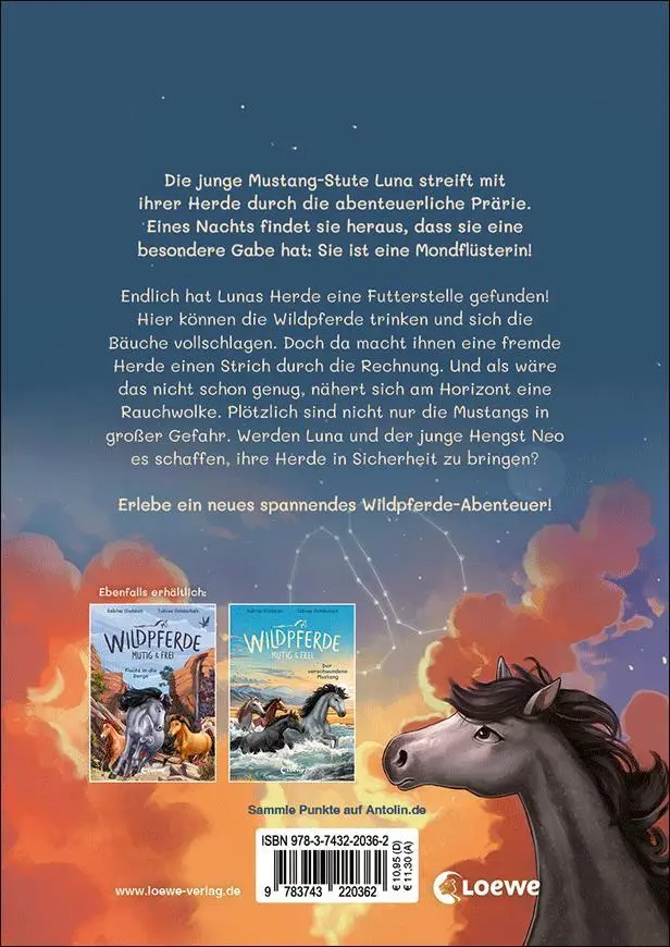 Rückseite: 9783743220362 | Wildpferde - mutig und frei (Band 5) - Rauch über der Prärie | Giebken