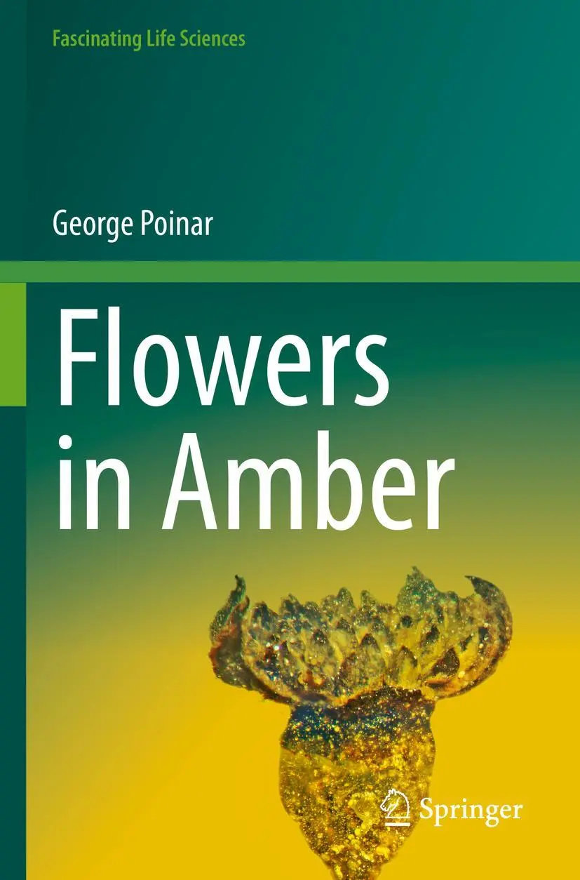 Cover: 9783031090462 | Flowers in Amber | George Poinar | Taschenbuch | xv | Englisch | 2023