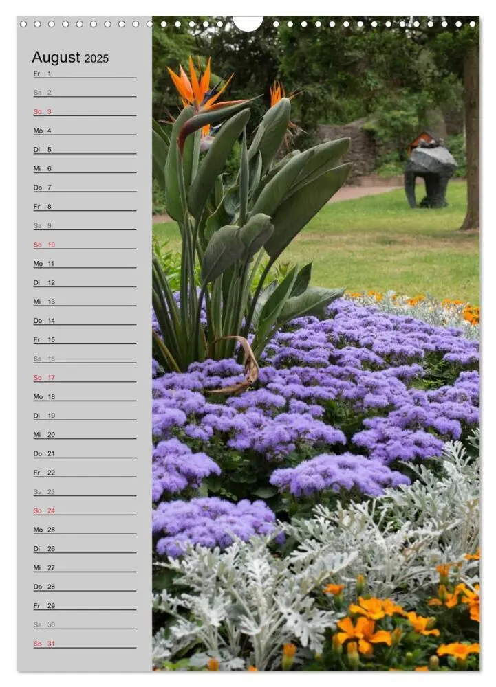 Bild: 9783457020562 | Traumhaftes Siegerland 2025 (Wandkalender 2025 DIN A3 hoch),...