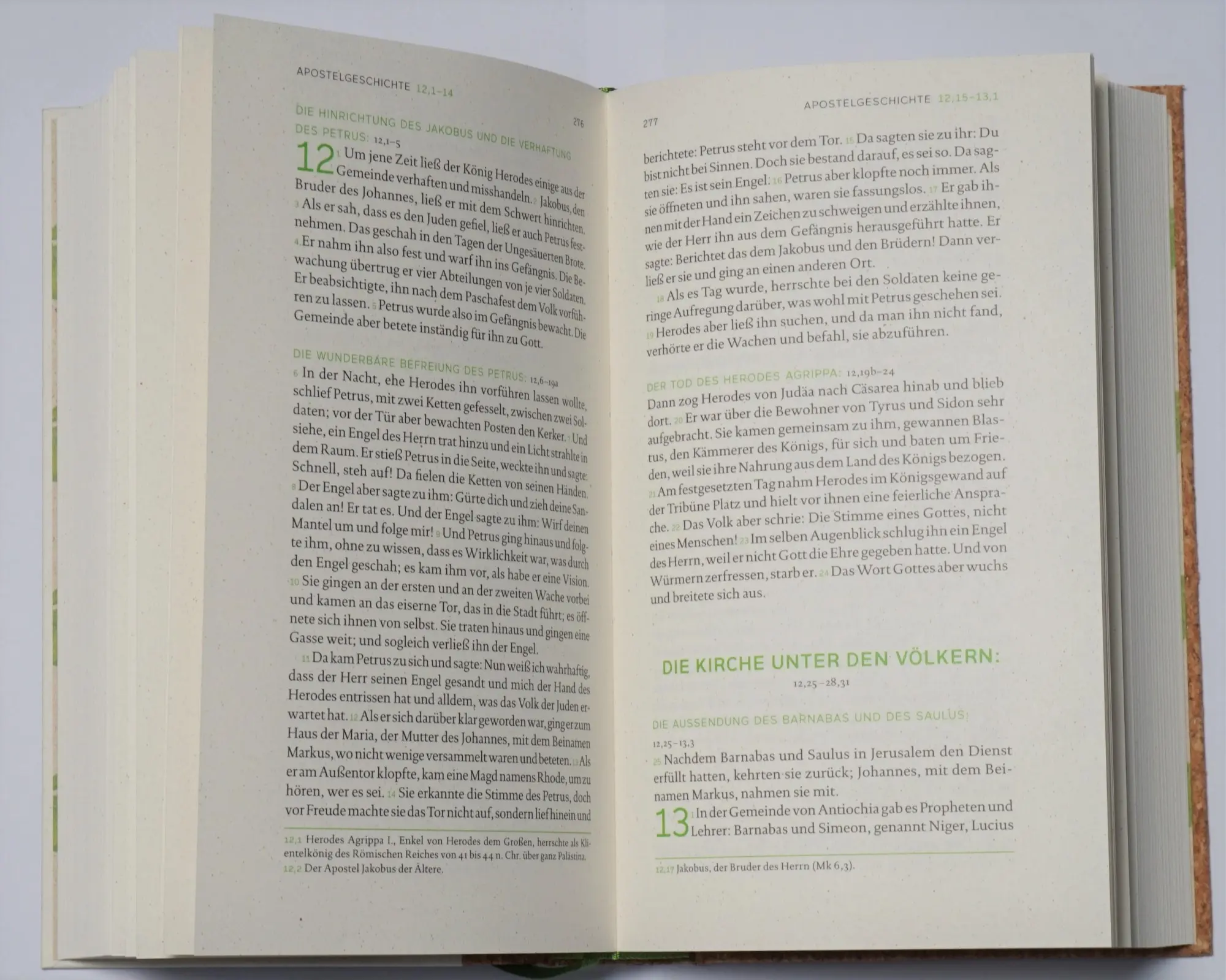 Bild: 9783460440562 | Die Bibel | Neues Testament Einheitsübersetzung | Bibelwerk | Buch