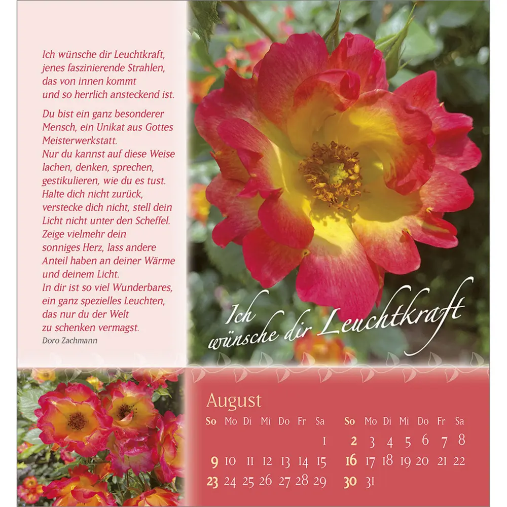 Bild: 9783754880562 | Rosenduft mit besten Wünschen 2026 | Doro Zachmann | Kalender | 13 S.