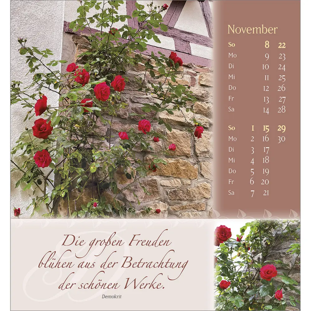 Bild: 9783754880562 | Rosenduft mit besten Wünschen 2026 | Doro Zachmann | Kalender | 13 S.