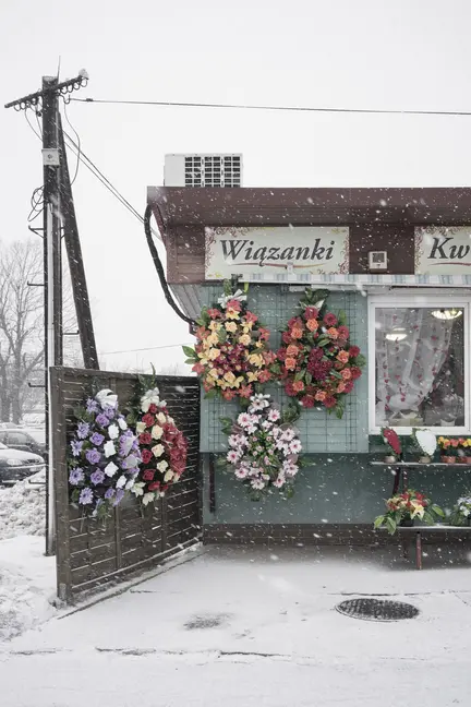 Bild: 9783960700562 | Vincent Kohlbecher, Its Flower Is Hard To Find | Wislawa Szymborska