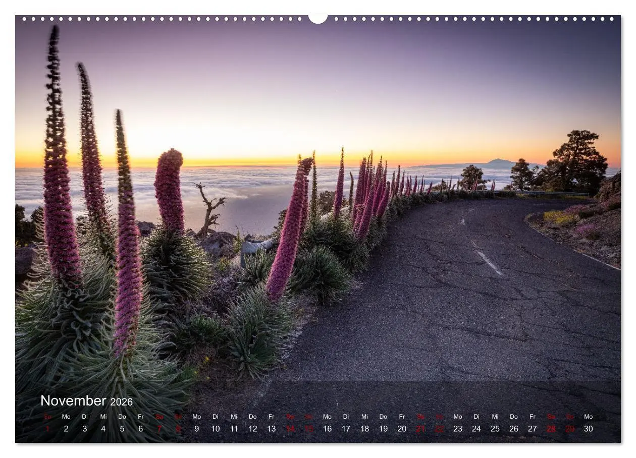 Bild: 9783457630662 | La Palma - La Isla Bonita (Wandkalender 2026 DIN A2 quer), CALVENDO...