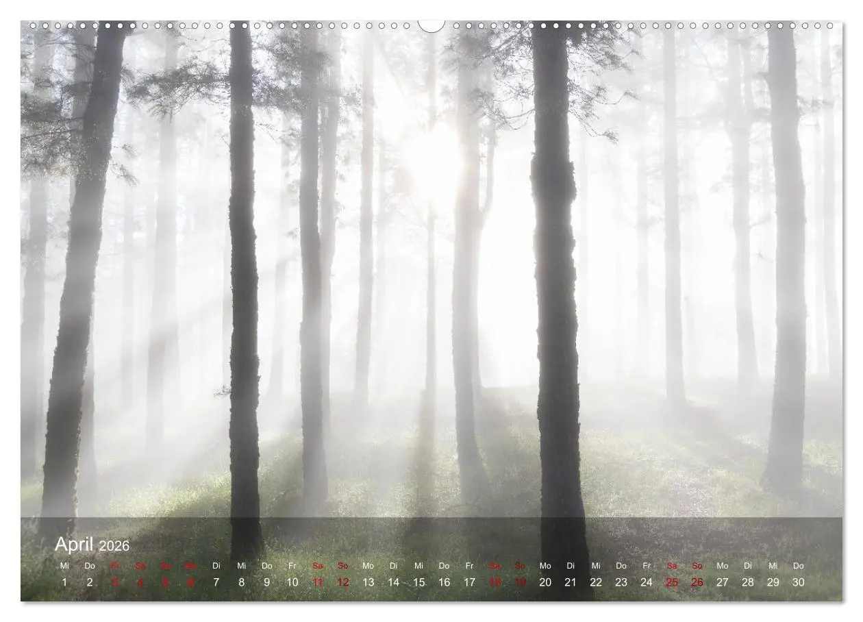 Bild: 9783457630662 | La Palma - La Isla Bonita (Wandkalender 2026 DIN A2 quer), CALVENDO...