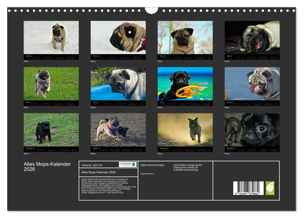 Bild: 9783457870662 | Alles Mops-Kalender 2026 (Wandkalender 2026 DIN A3 quer), CALVENDO...