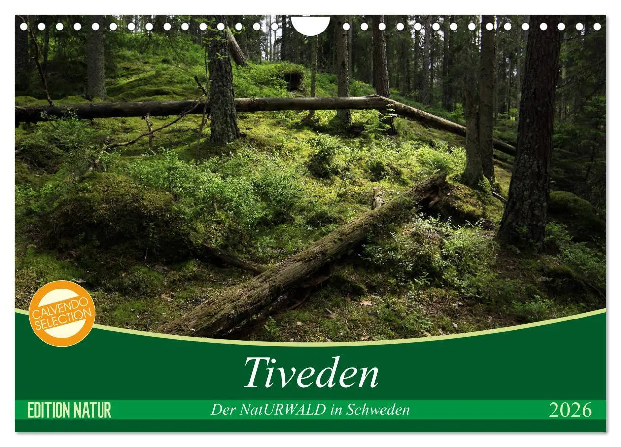 Cover: 9783457940662 | Tiveden, der NatURWALD in Schweden (Wandkalender 2026 DIN A4 quer),...