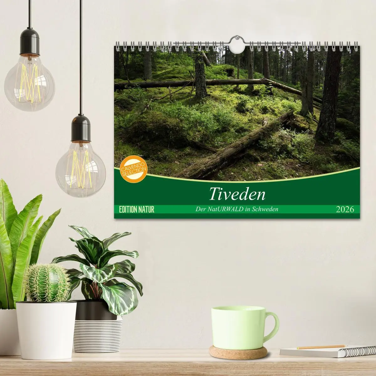 Bild: 9783457940662 | Tiveden, der NatURWALD in Schweden (Wandkalender 2026 DIN A4 quer),...
