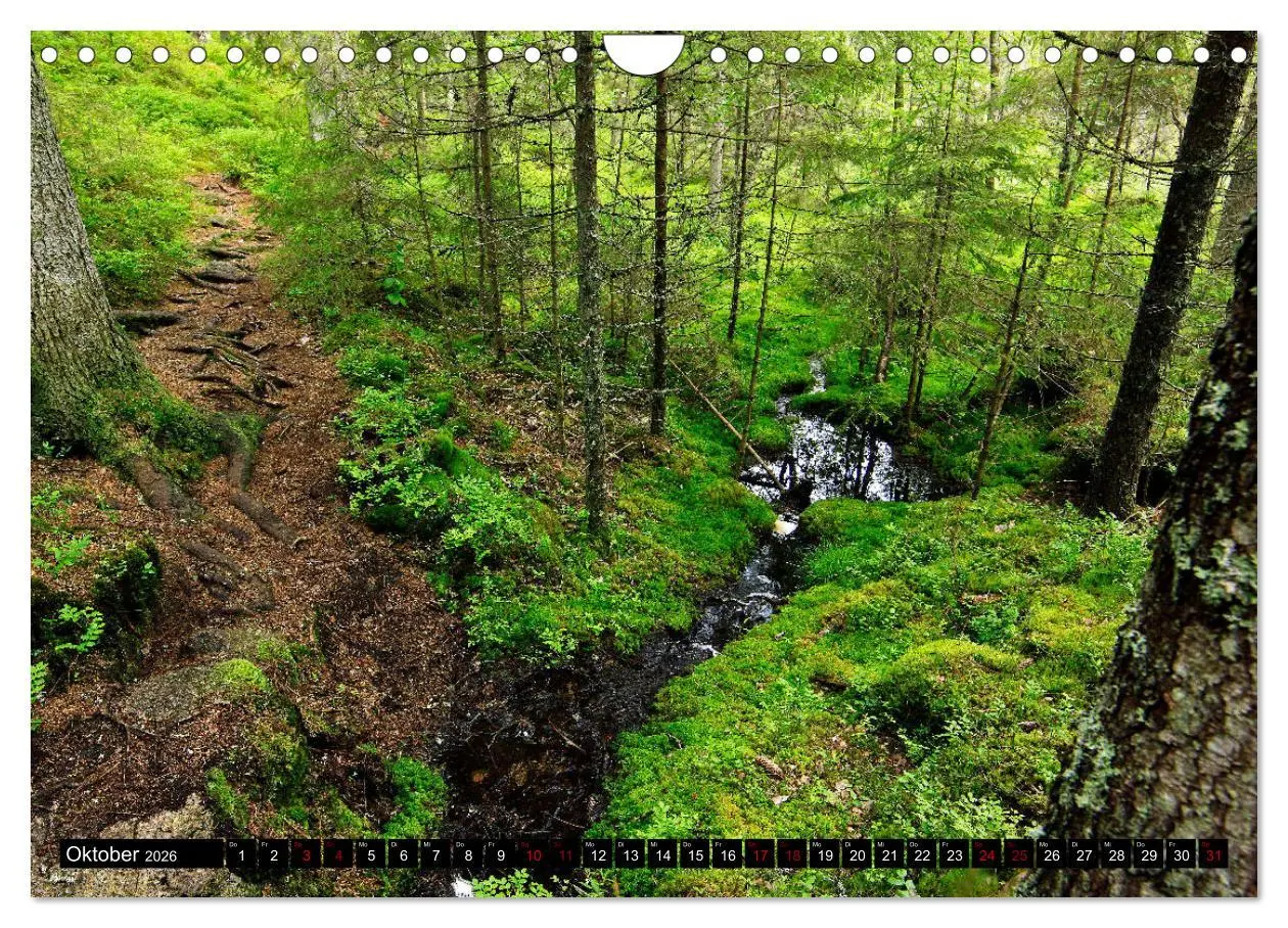 Bild: 9783457940662 | Tiveden, der NatURWALD in Schweden (Wandkalender 2026 DIN A4 quer),...