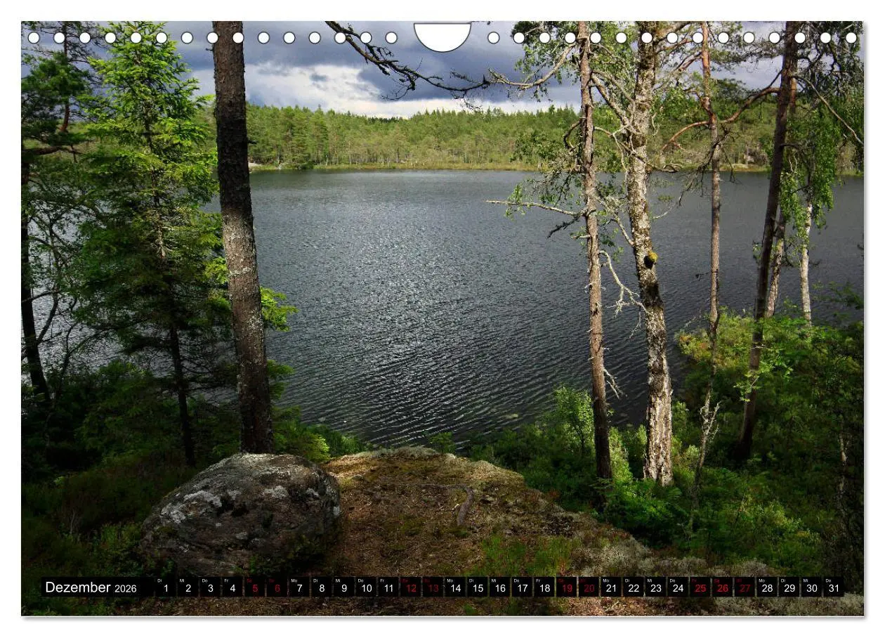 Bild: 9783457940662 | Tiveden, der NatURWALD in Schweden (Wandkalender 2026 DIN A4 quer),...